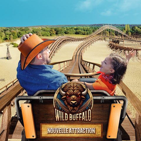 Wild Buffalo Mer de Sable